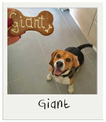 Giant avec son biscuit personnalisé